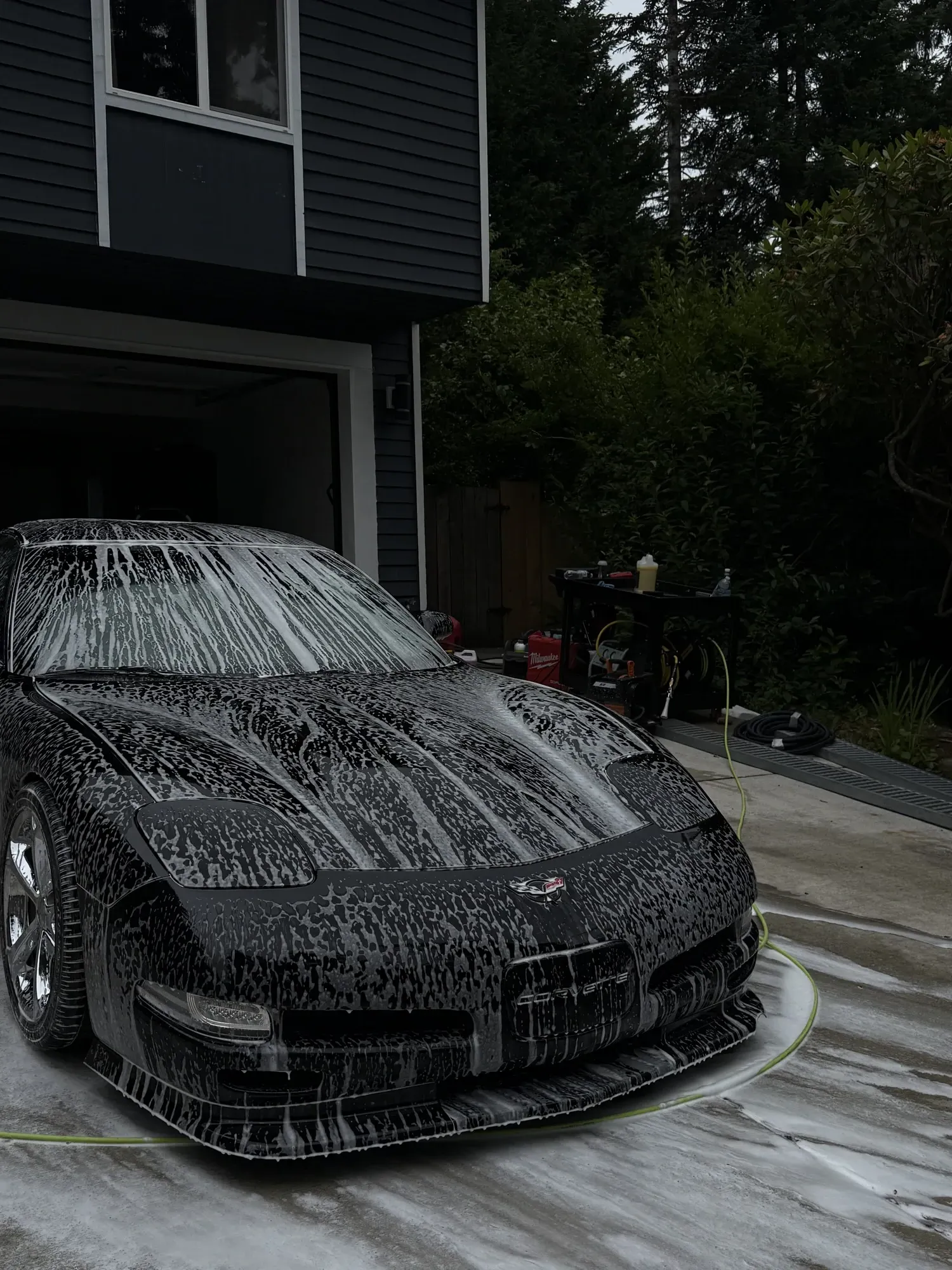Pine & Shine detailing work